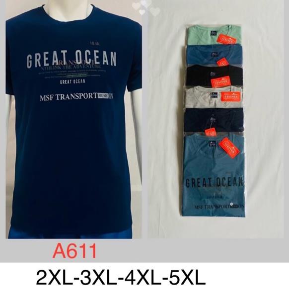 Футболка Hoan (2XL-5XL) A611 mix (лето)