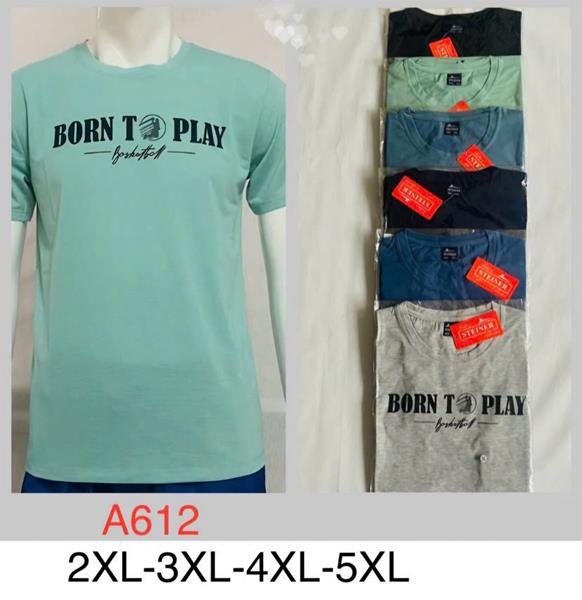 Футболка Hoan (2XL-5XL) A612 mix (лето)