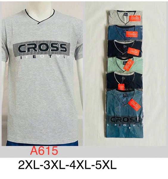 Футболка Hoan (2XL-5XL) A615 mix (лето)