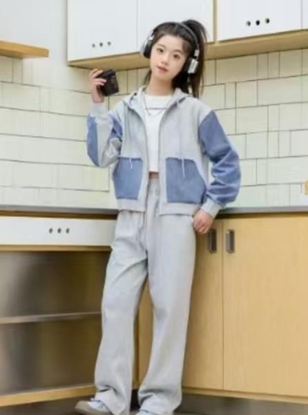 Костюм спорт Delfinka (120-170) 89053 l.grey (деми)