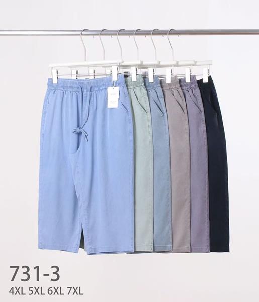 Бриджи АнЯ (4XL-7XL) 731-3 mix (лето)