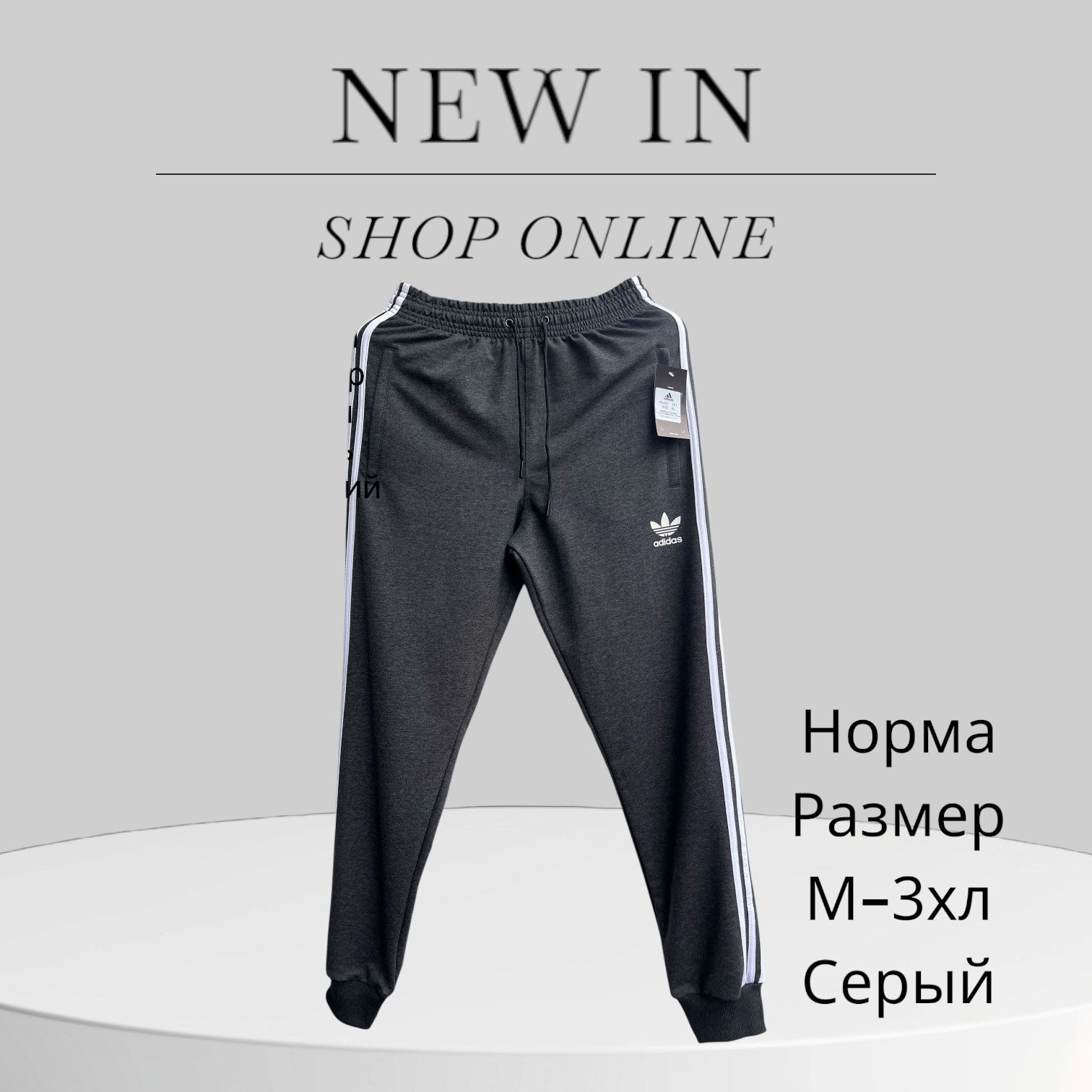 Штаны спорт Hai (M-3XL) H211 grey (деми)