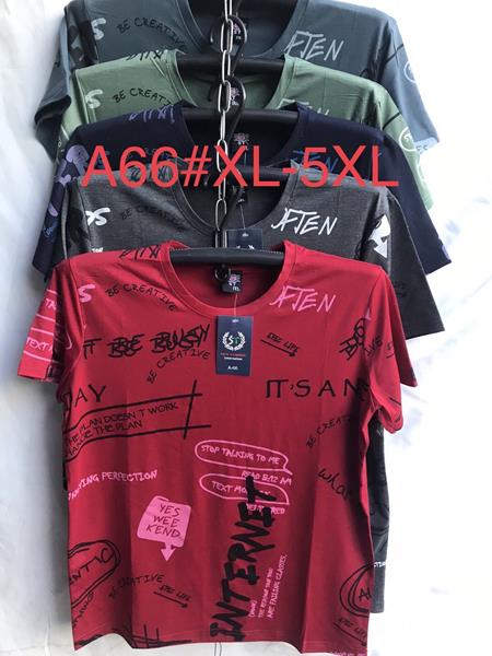 Футболка Punky (XL-5XL) A66 mix (лето)
