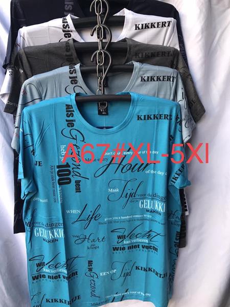 Футболка Punky (XL-5XL) A67 mix (лето)