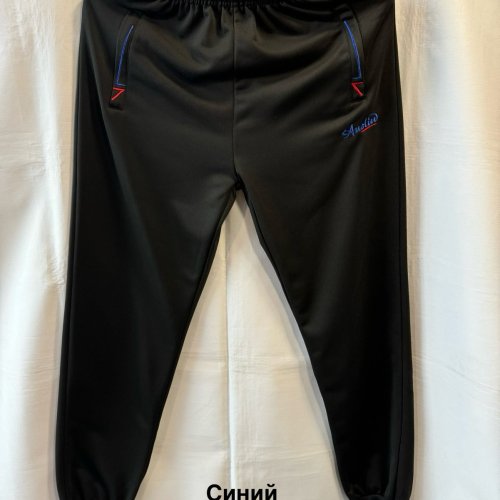 Штаны спорт Minh (M-3XL) MH577 navy (деми) Minh MH577 navy