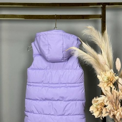 Жилетка Delfinka (134-158) 43 lilac (деми) Delfinka 43 lilac