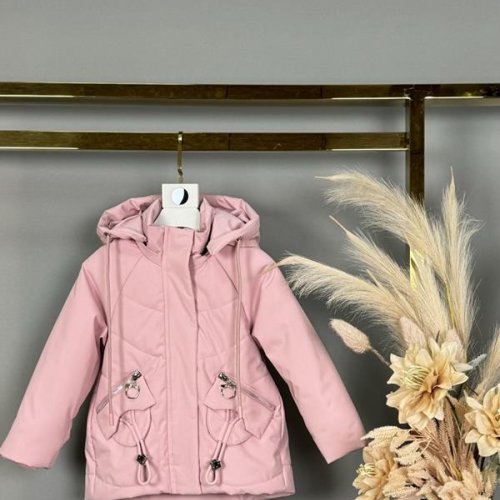 Куртка Delfinka (80-104) M703 pink (деми) Delfinka M703 pink