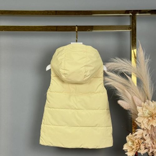 Жилетка Delfinka (92-116) MJ45 yellow (деми) Delfinka MJ45 yellow