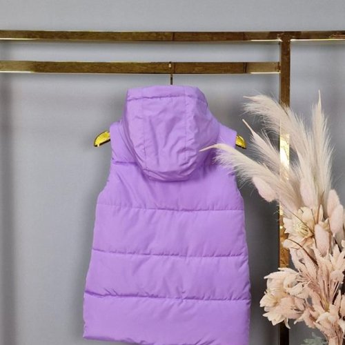 Жилетка Delfinka (134-158) MJ47 lilac (деми) Delfinka MJ47 lilac