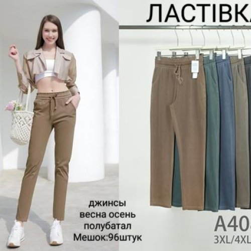 Штаны Hoan (3XL-6XL) A4089-2 mix (деми) Hoan A4089-2 mix
