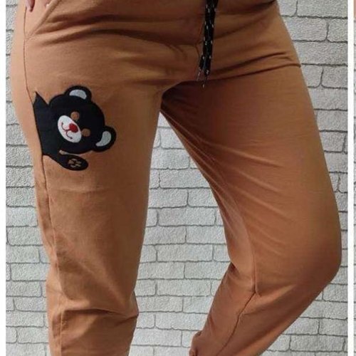 Штаны спорт Shipi (S-XL) 022 brown (деми) Shipi 022 brown
