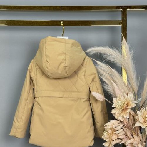 Куртка Delfinka (104-128) BM801 beige (деми) Delfinka BM801 beige