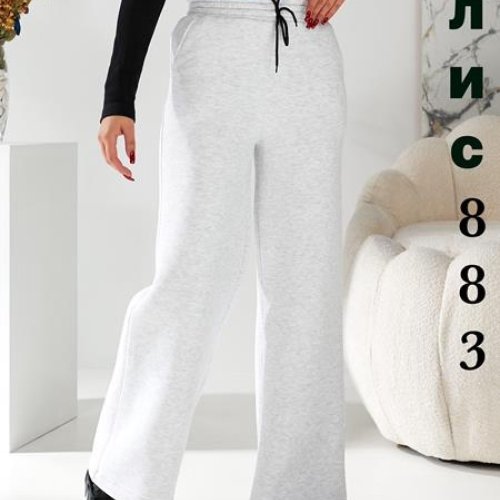 Штаны спорт HJJ Story (42-50) 883 l.grey (зима) HJJ Story 883 l.grey