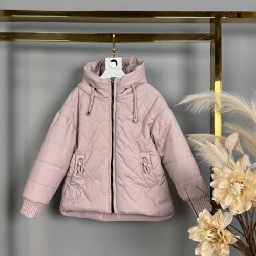 Куртка Delfinka (116-140) 1107 pink (деми) Delfinka 1107 pink