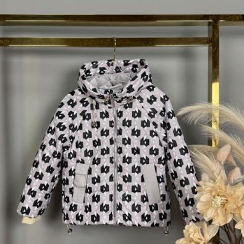 Куртка Delfinka (110-134) YS62 grey (деми) Delfinka YS62 grey