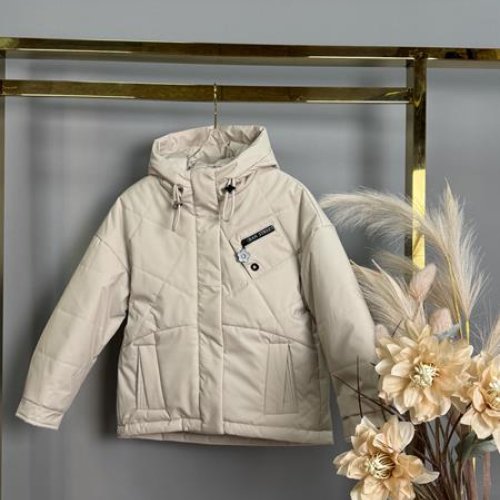 Куртка Delfinka (128-152) 1117 l.grey (деми) Delfinka 1117 l.grey
