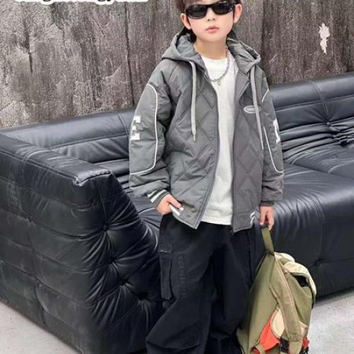 Куртка Delfinka (110-128) 20960 grey (деми) Delfinka 20960 grey