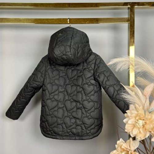 Куртка Delfinka (104-122) 647 black (деми) Delfinka 647 black