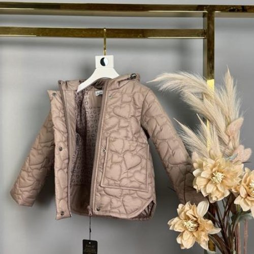 Куртка Delfinka (104-122) 647 brown (деми) Delfinka 647 brown