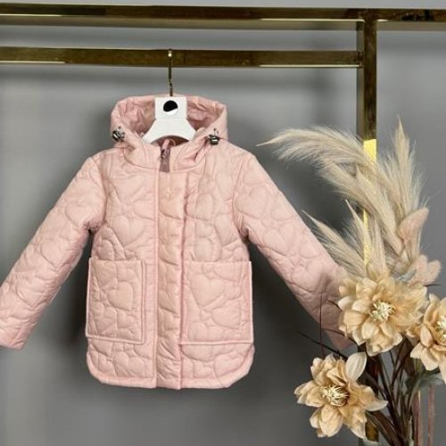 Куртка Delfinka (104-122) 647 pink (деми) Delfinka 647 pink