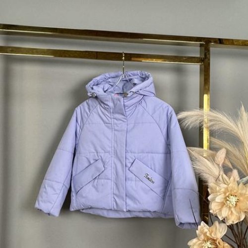Куртка Delfinka (110-134) 6659 lilac (деми) Delfinka 6659 lilac