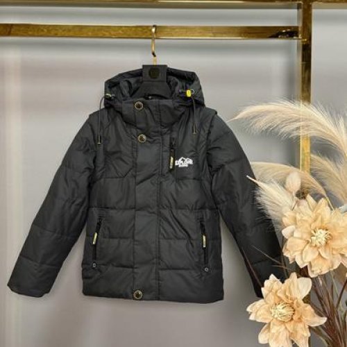 Куртка Delfinka (104-128) A36 d.grey (деми) Delfinka A36 d.grey