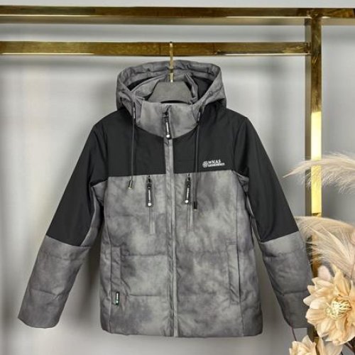 Куртка Delfinka (122-146) B50 grey (деми) Delfinka B50 grey