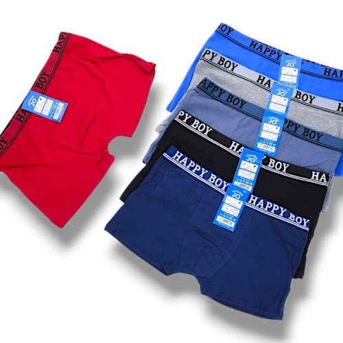 Трусы Jelzin (2XL) Z30079 mix (2XL) (деми) Jelzin Z30079 mix (2XL)