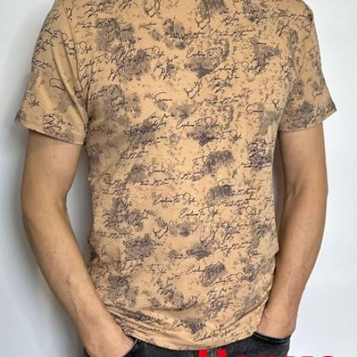 Футболка Vip Stendo (M-2XL) 5104 beige (лето) Vip Stendo 5104 beige