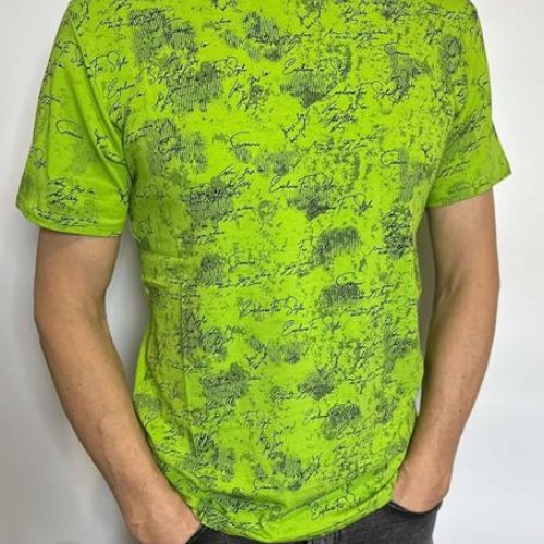 Футболка Vip Stendo (M-2XL) 5104 l.green (лето) Vip Stendo 5104 l.green