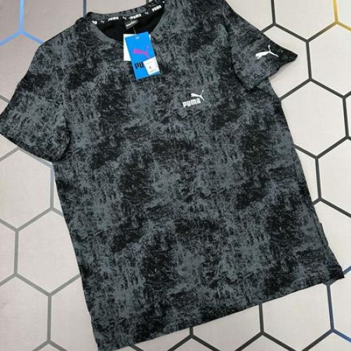 Футболка Alex Clothes (S-2XL) 2762 grey (лето) Alex Clothes 2762 grey