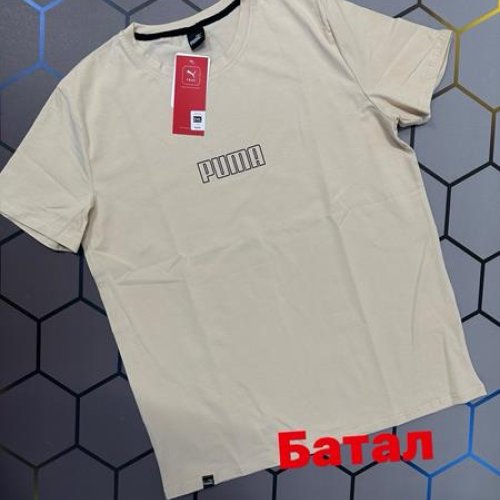 Футболка Alex Clothes (2XL-6XL) 2923 beige (лето) Alex Clothes 2923 beige