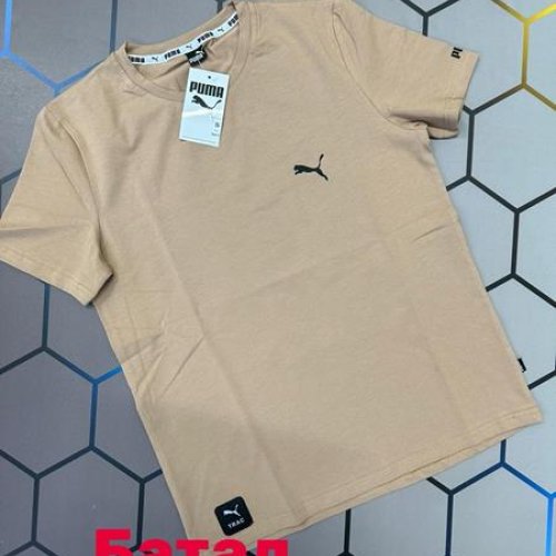 Футболка Alex Clothes (2XL-6XL) 2928 beige (лето) Alex Clothes 2928 beige