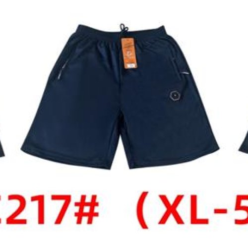 Шорты Long Sport (XL-5XL) KQC7 grey (лето) Long Sport KQC7 grey