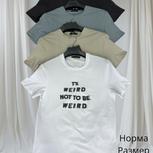 Футболка Hai (48-56) H124 black (лето) Hai H124 black
