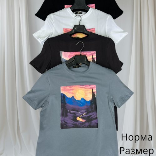 Футболка Hai (48-56) H133 grey (лето) Hai H133 grey