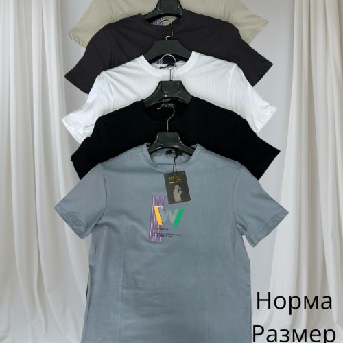 Футболка Hai (48-56) H145 d.grey (лето) Hai H145 d.grey