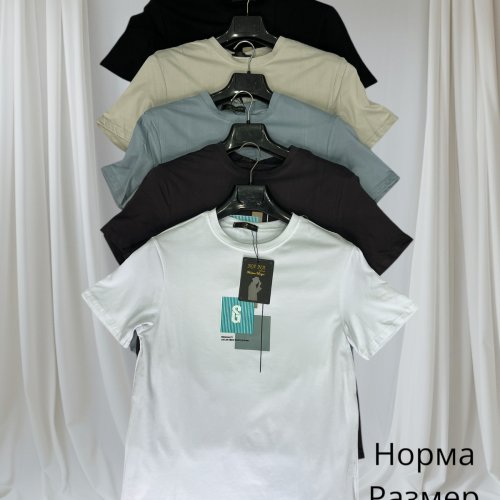 Футболка Hai (48-56) H151 d.grey (лето) Hai H151 d.grey