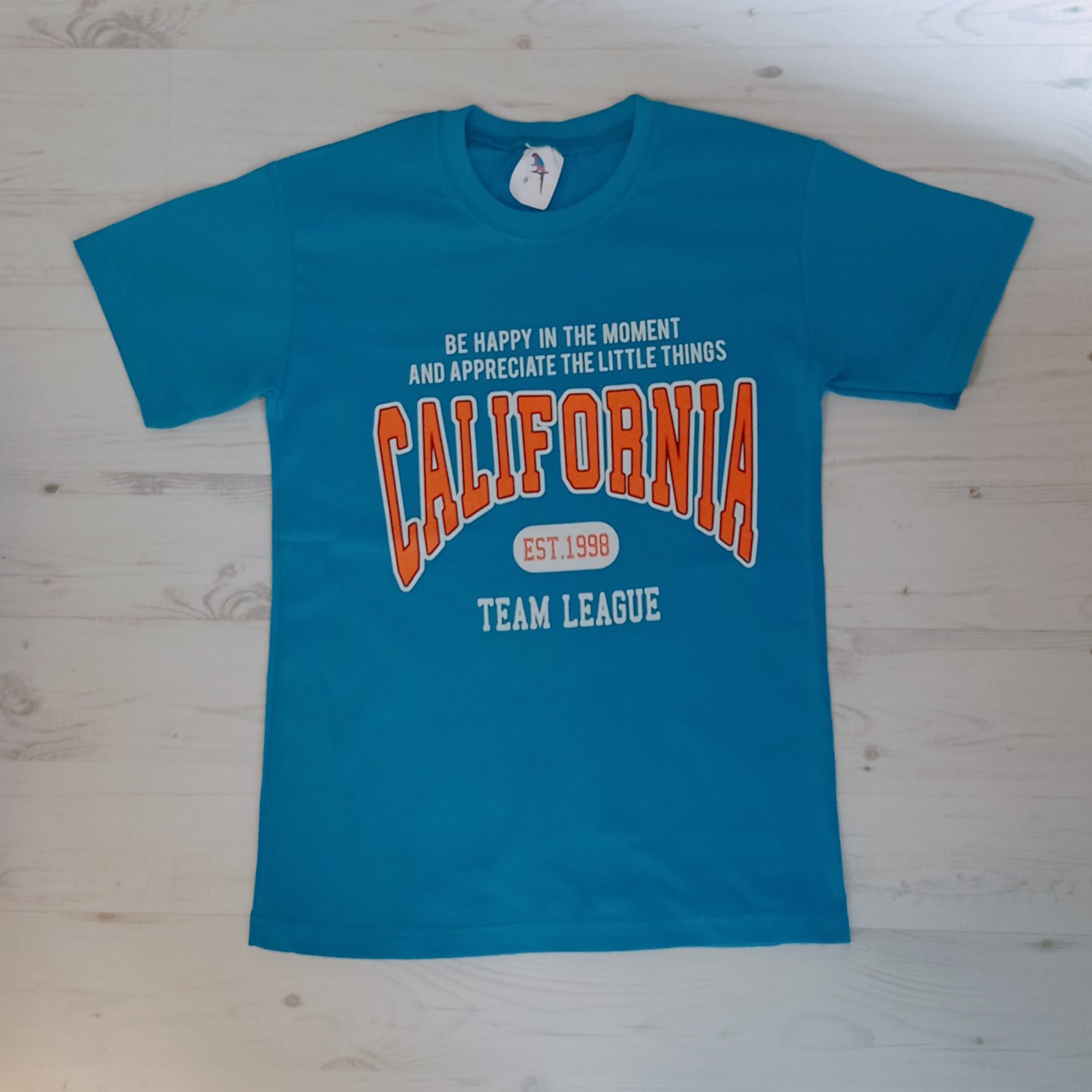Футболка Malibu2 (9-12) ML92 l.blue (лето)