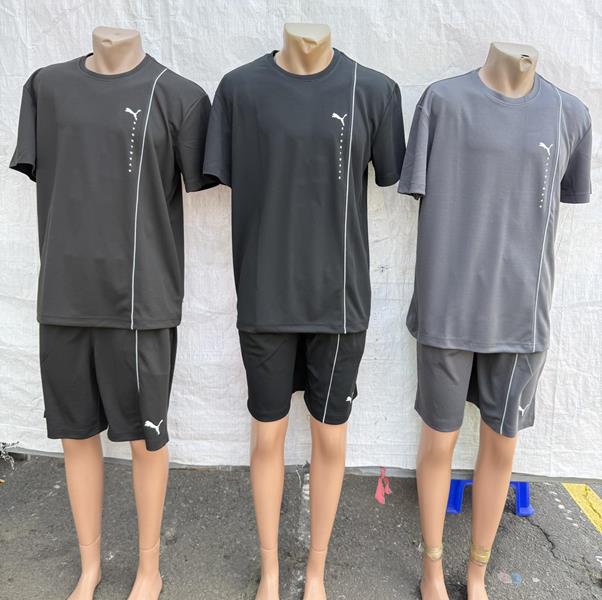 Костюм спорт Essa (48-56) E3 grey (лето)