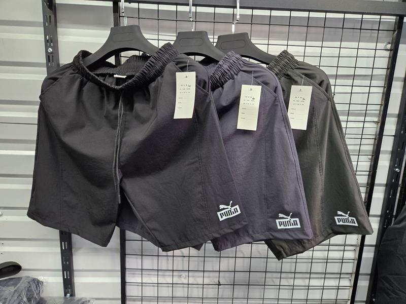 Шорты Essa (48-56) E33 grey (лето)