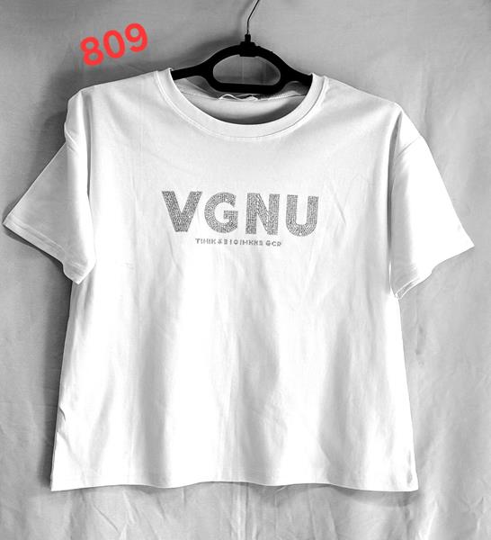 Футболка Van Truong (42-48) 809 mix (лето)