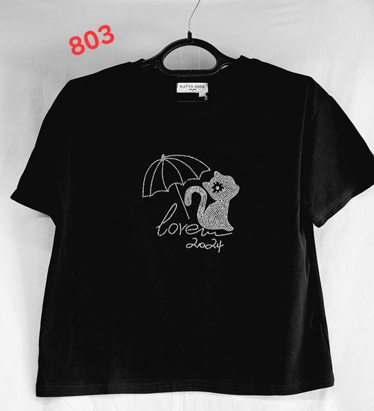 Футболка Van Truong (42-48) 803 mix (лето)