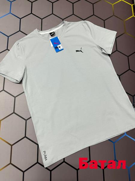 Футболка Alex Clothes (2XL-6XL) 3721 l.grey (лето)