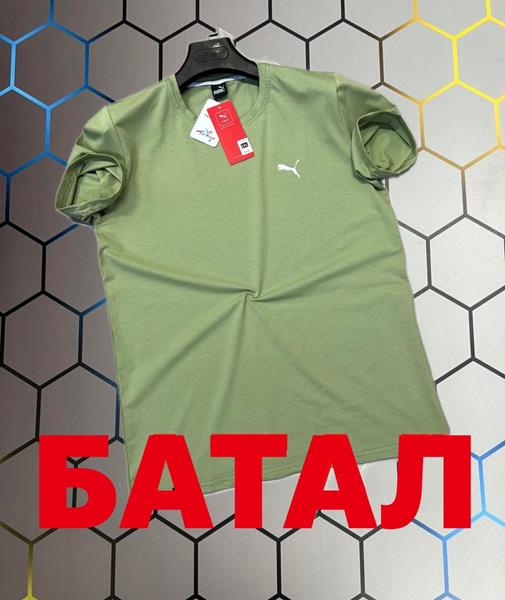 Футболка Alex Clothes (2XL-6XL) 3725 green (лето)