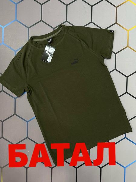 Футболка Alex Clothes (2XL-6XL) 3726 khaki (лето)