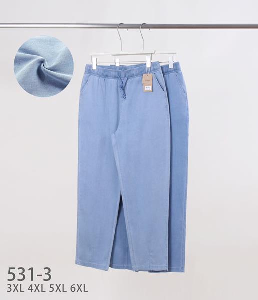 Джинсы Hoan (3XL-6XL) 531-3 mix (деми)