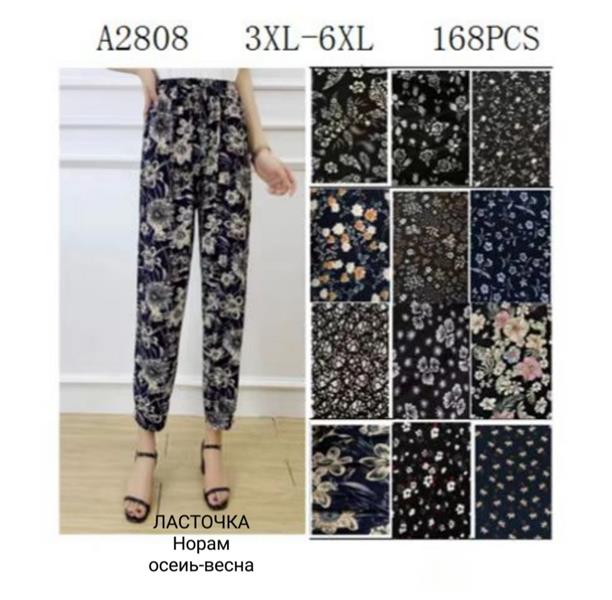 Штаны Hoan (3XL-6XL) A2808 mix (деми)