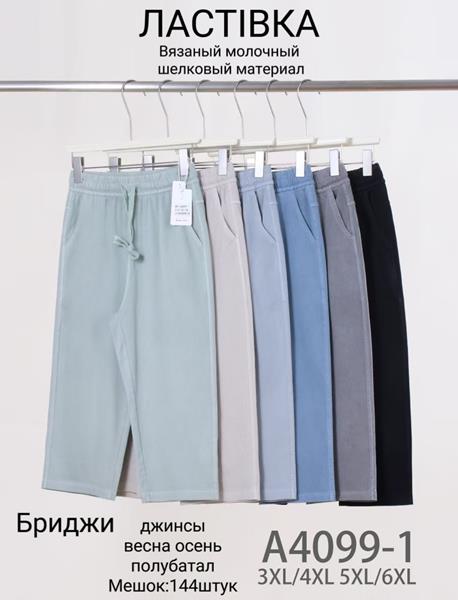 Джинсы Hoan (3XL-6XL) A4099-1 mix (лето)