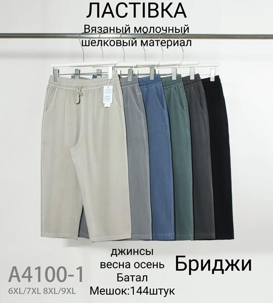 Бриджи Hoan (6XL-9XL) A4100-1 mix (лето)